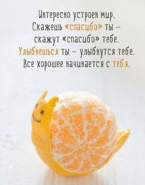 Айжан Абжаппарова