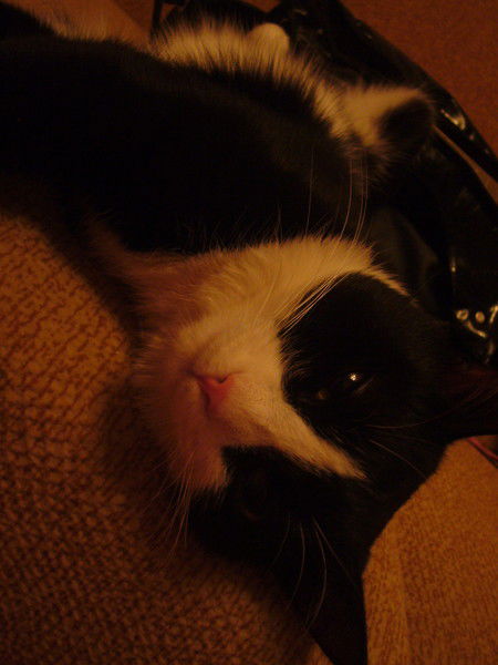 Серикбай Мамбеталин