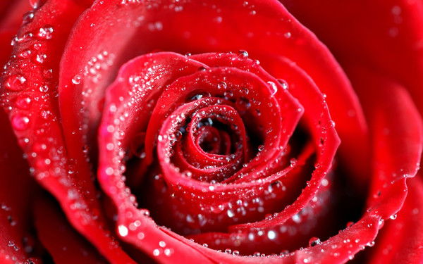 Гульбосан Асанова