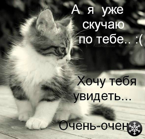 Наталья Банникова