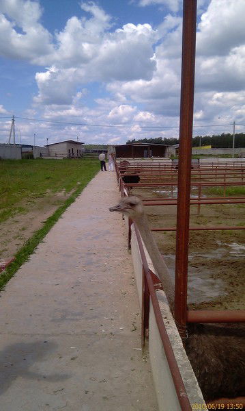 Людмила Юрина