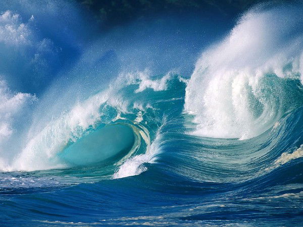 Токо Чекиров