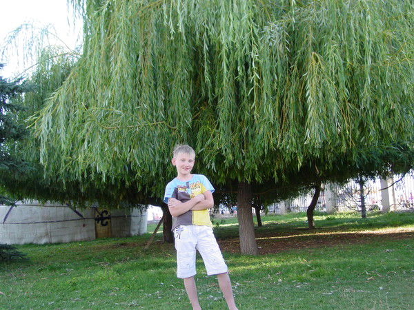 Владислав Брянцев