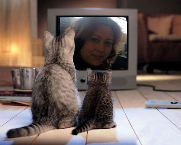 Вероника Тринка