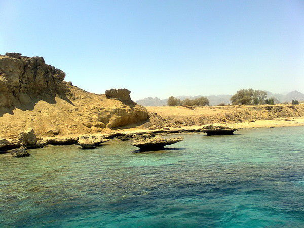 Марина Мармыш