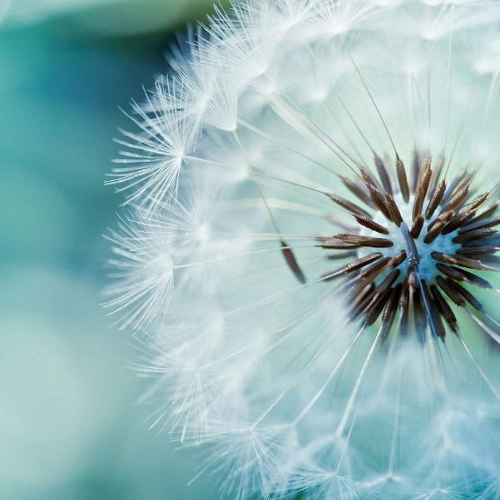 Джамиля Мигунова