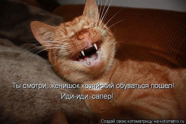 Юлия Сафронова