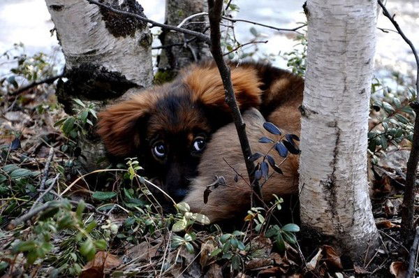 Светлана ....