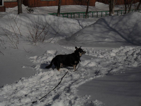 Наталья Норкина