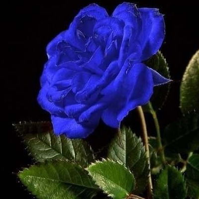 Дина Хусаинова