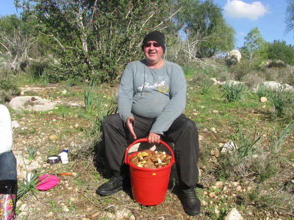 Александр Бондаренко