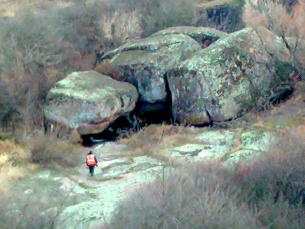 Толя Крылов