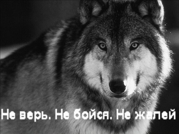 Аскар Газибеков