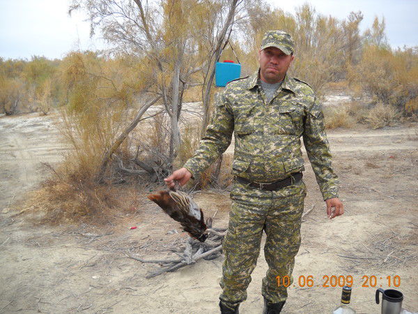 Андрей Гвоздев