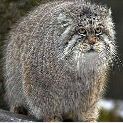 Алексей Сидаш