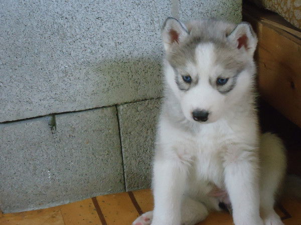 Лариса Султанова