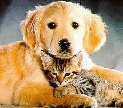 Татьяна Чумак