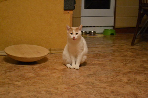 Юля Салухова