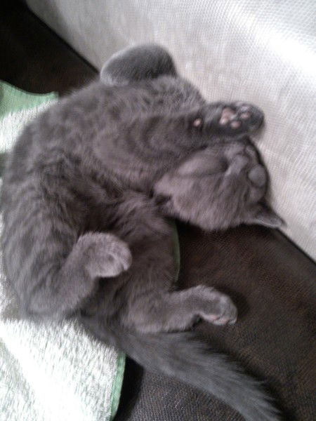 Наталья Гузева