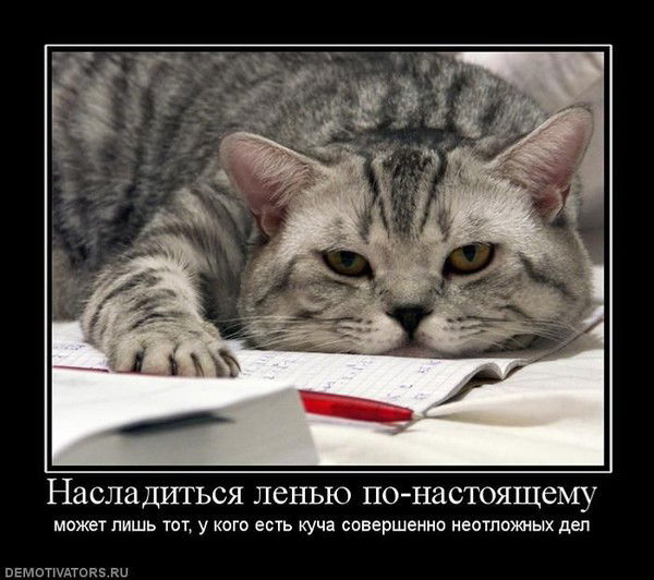 Любовь Лакедемонская