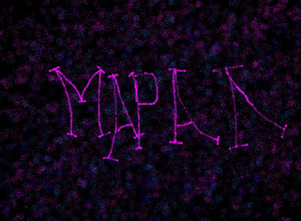 Марал Сатыбалдинова