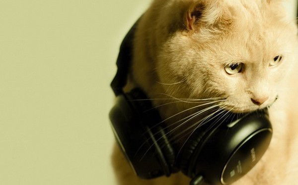 Макс Петров