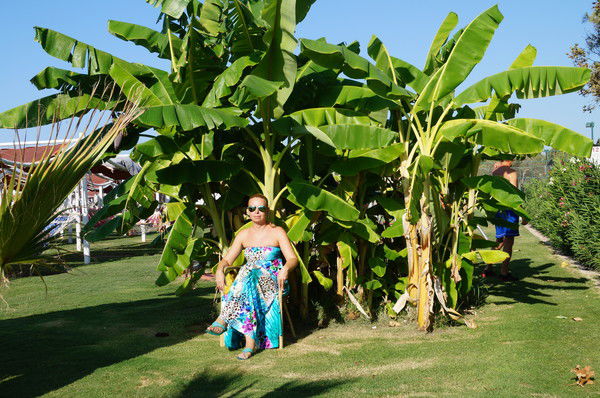 Елена Чурилова