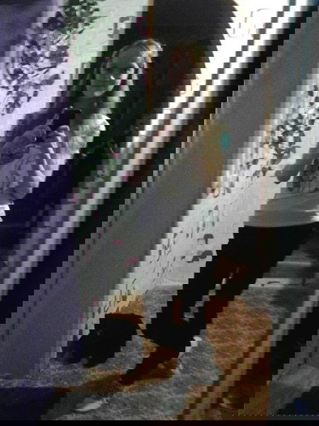 Елизавета Семёнова