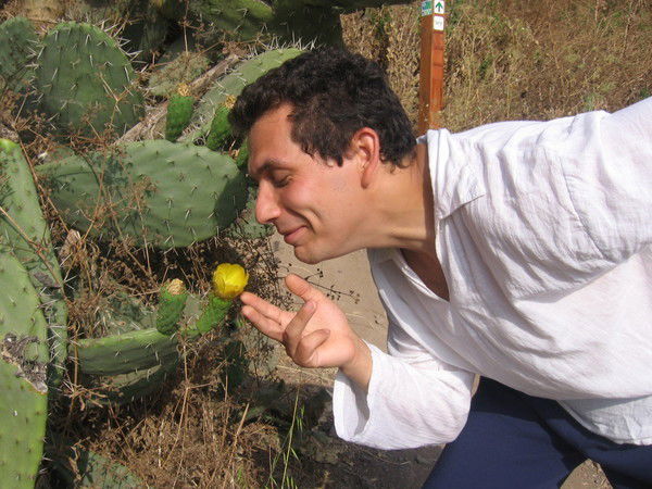 Constantin Schiffman