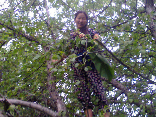 Жазира Смагулова