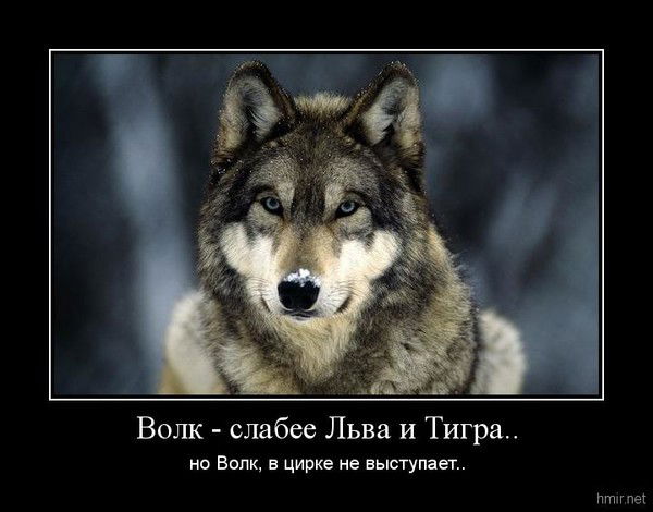 Айдос Сербаев