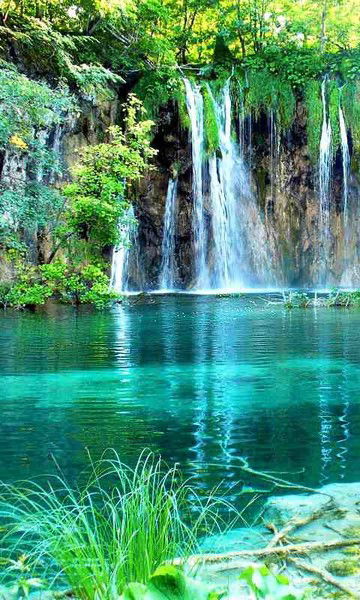 Светлана Дьячкова