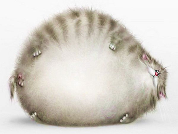 Доставка Еды Красноярск