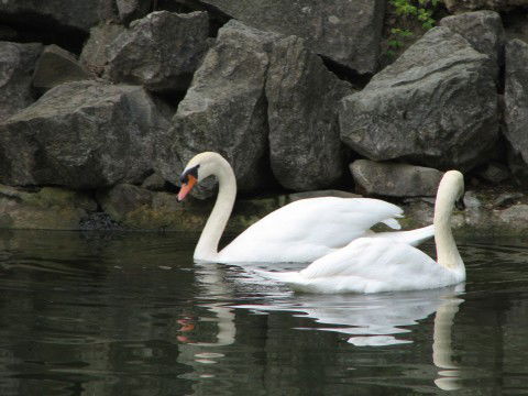 Надежда Ивановна
