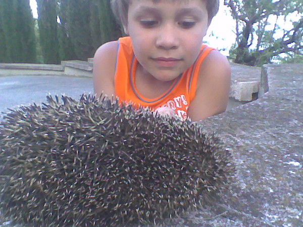 Денис Скотаренко