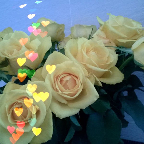 Максуда Чалабаевна