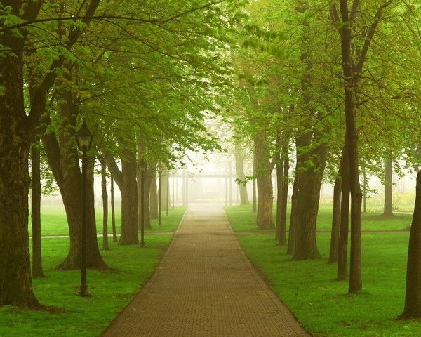 Марина Суринова