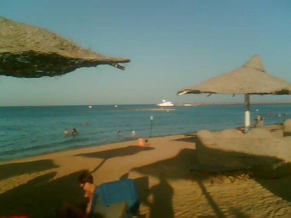 Саша Петров