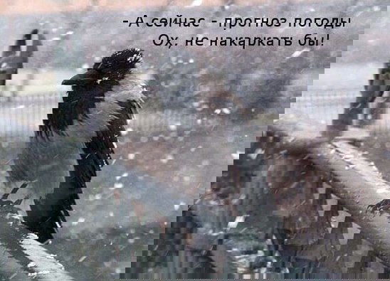 Татьяна Смирнова