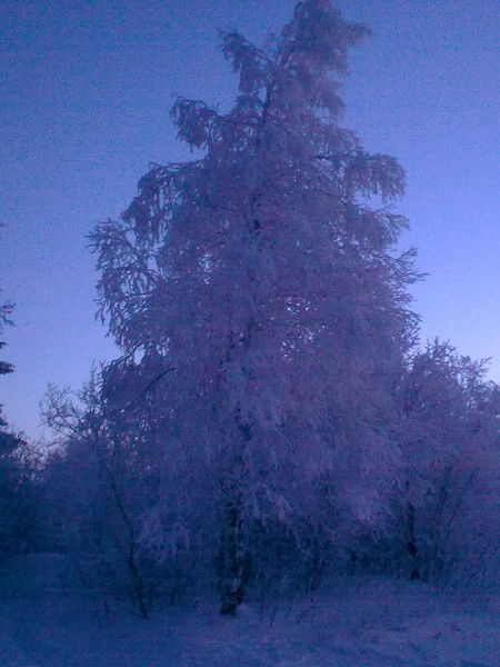 Ирина Сопина