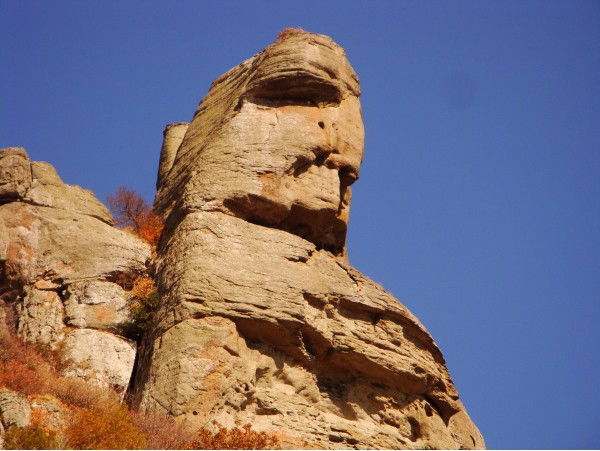 Дмитрий Потанин