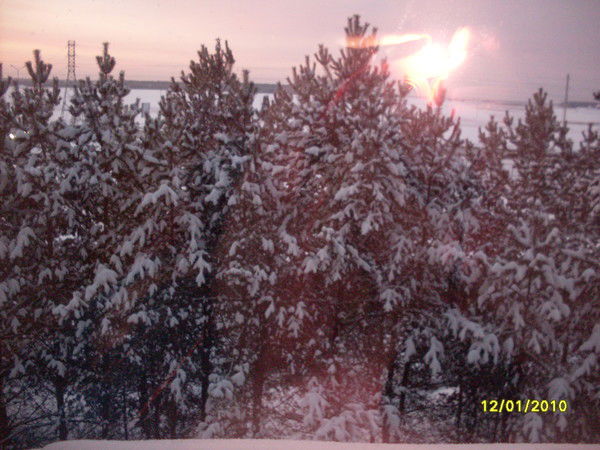 Анатолий Бакин