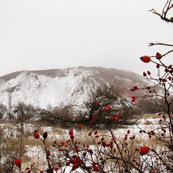 Борислав Киров