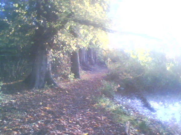 Андрей Ульянов