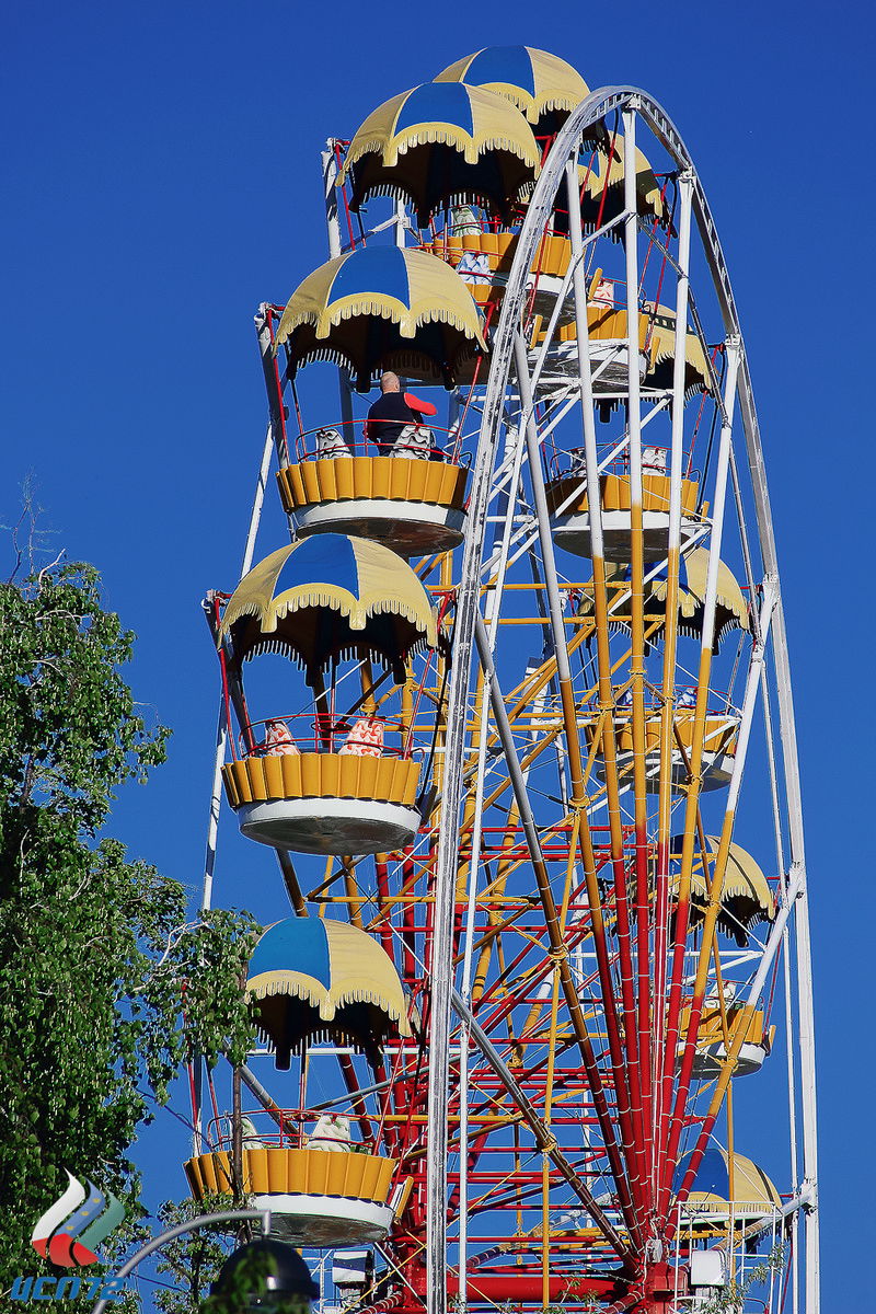 Вера Соколова