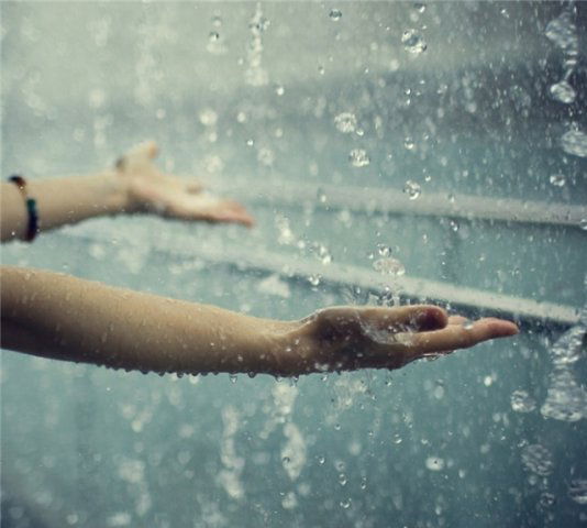 Светлана Иващук