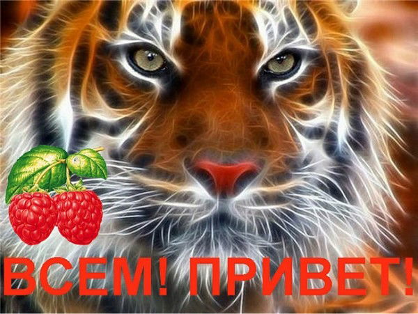 Валерий Цыплин