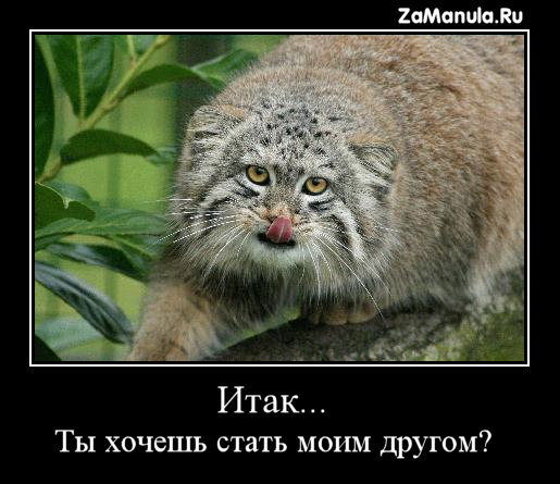 Татьяна Дубицкая