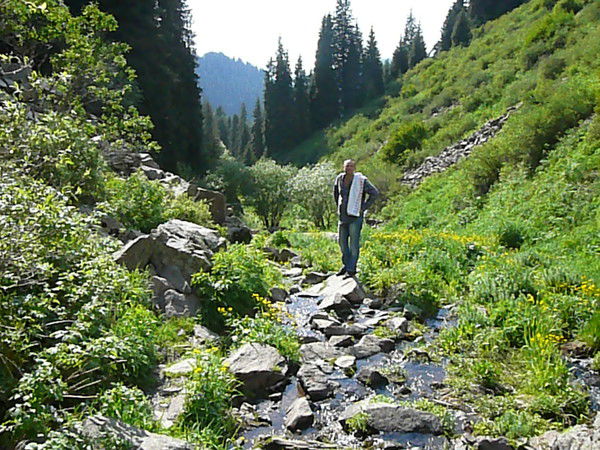 Павел Мехоношин