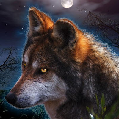 Владик Зинатов